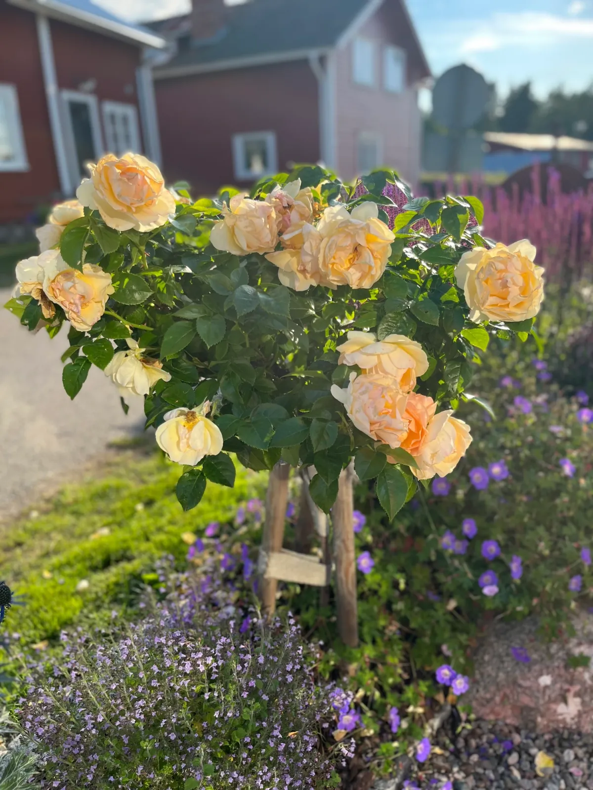 Hälsingland – en charmig fiskestuga — bild 5