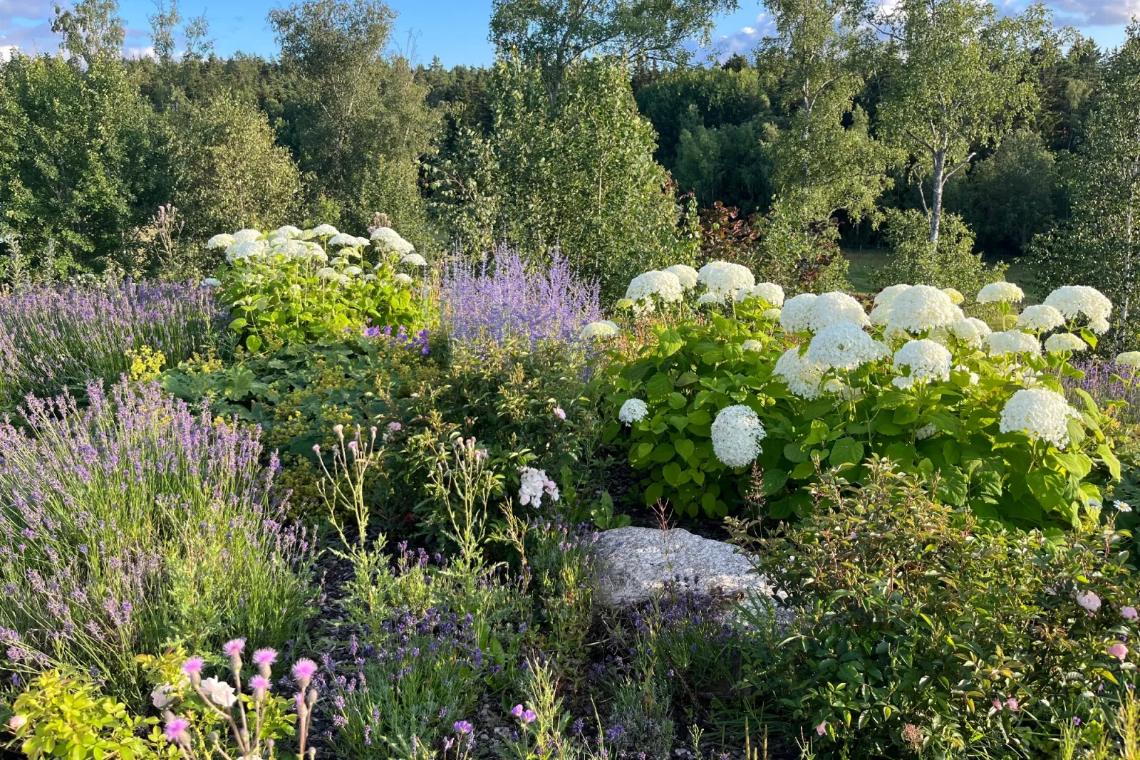 Sigtuna – familjeliv för gemenskap och bad — bild 8