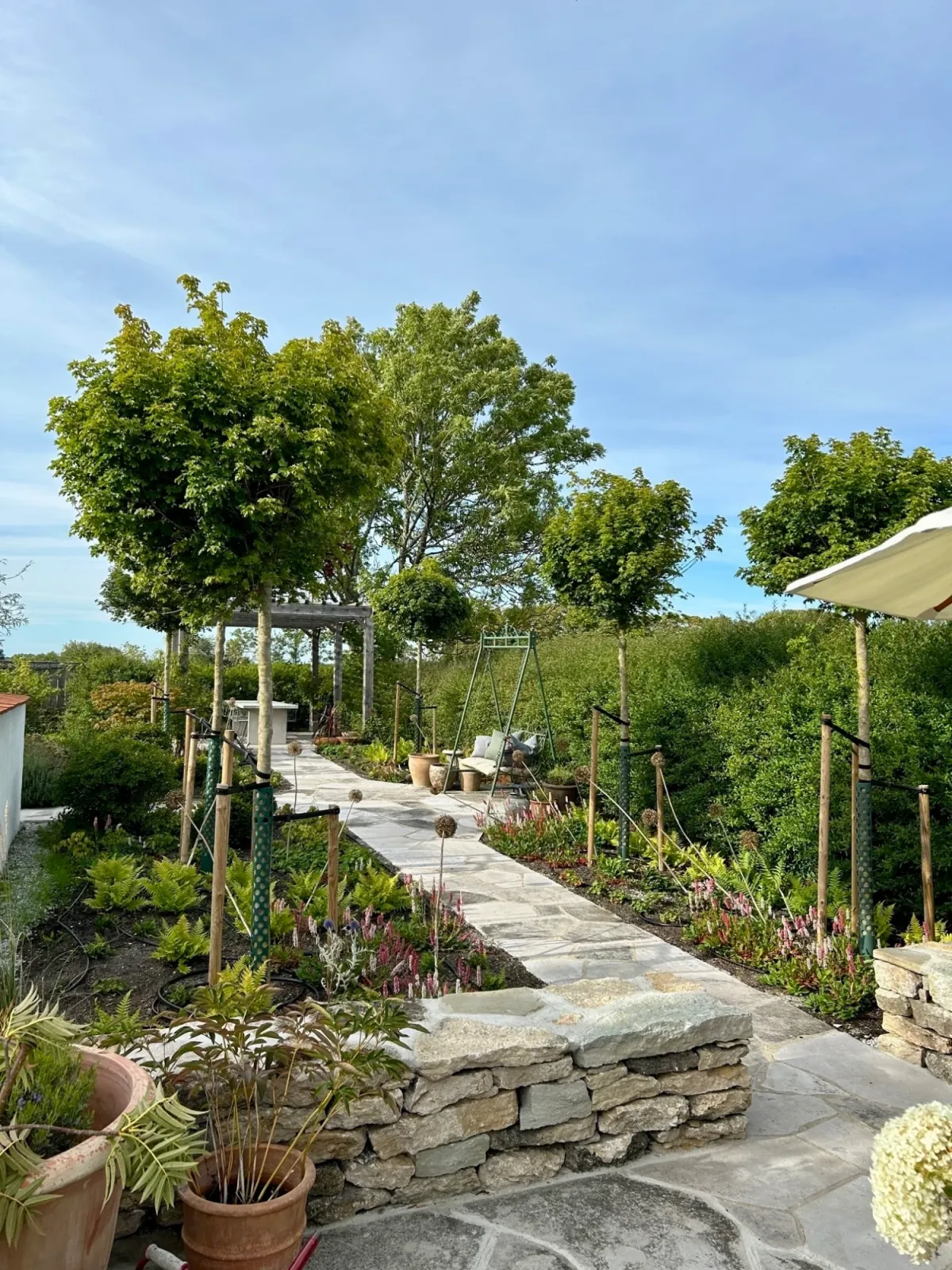 Gotland – kalksten och torktåligt — bild 10