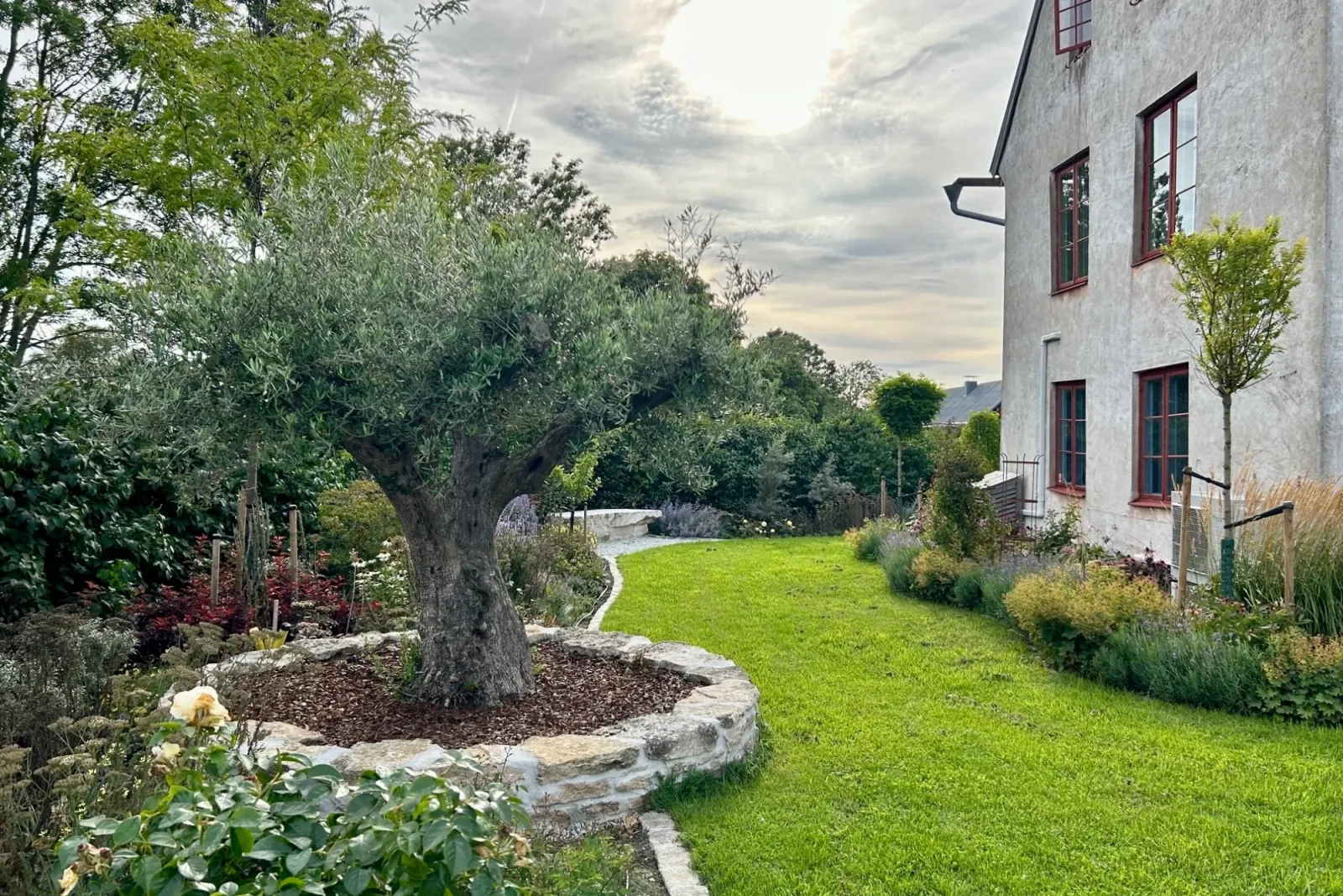 Gotland – kalksten och torktåligt