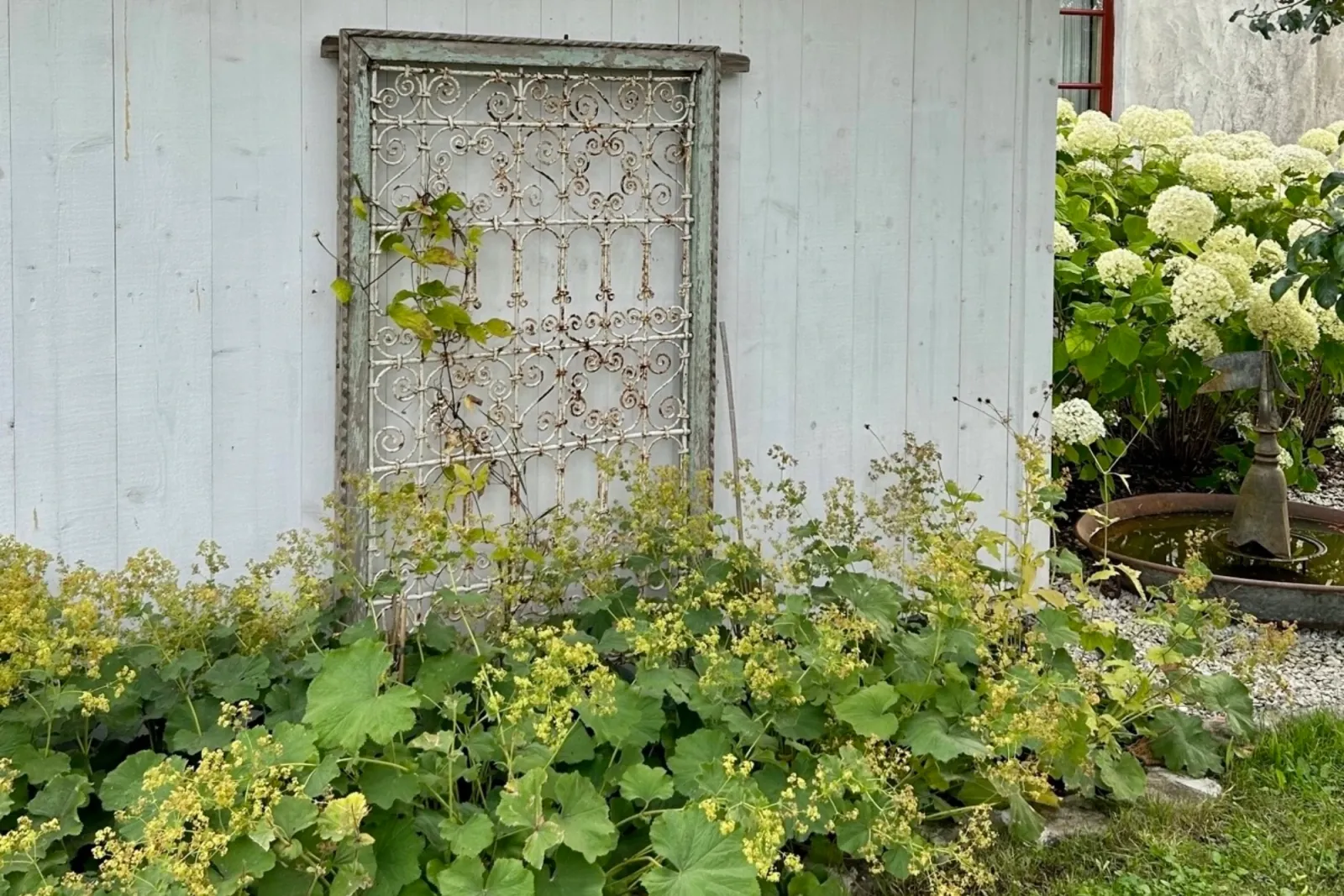 Gotland – kalksten och torktåligt — bild 8