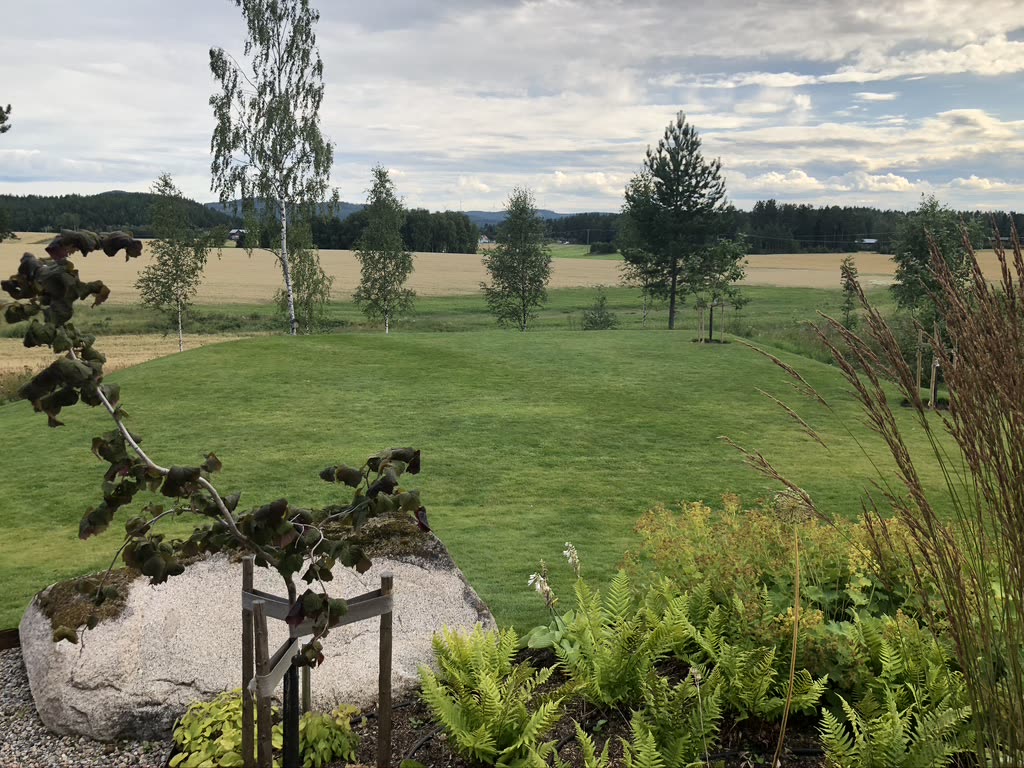 Hälsingland – där åkrarna tar vid — bild 4