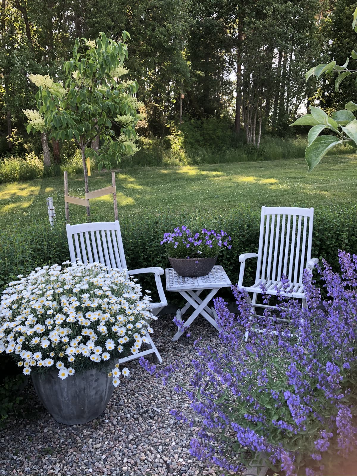 Hälsingland – en radhusdröm — bild 5