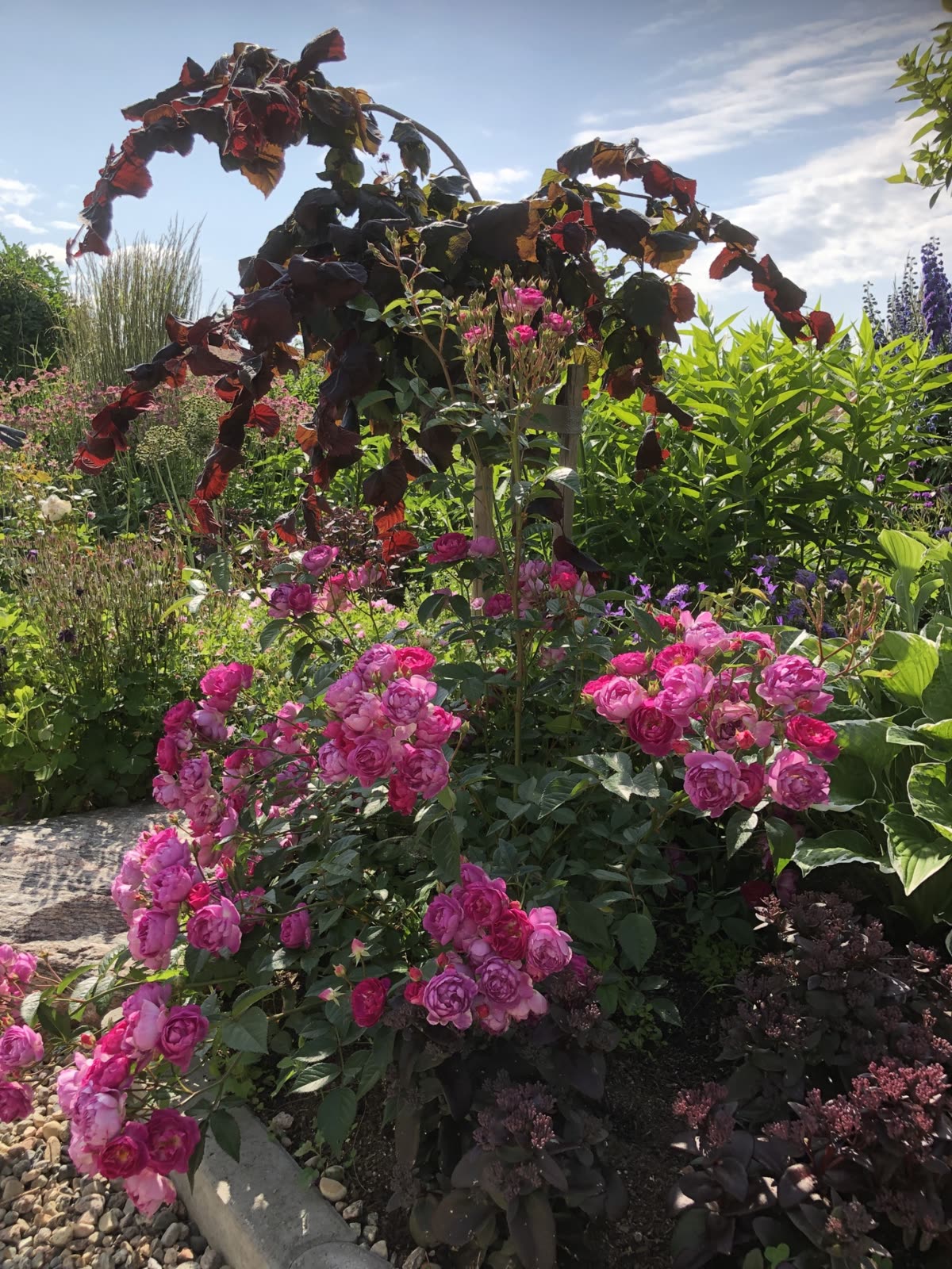 Hälsingland – en radhusdröm — bild 12