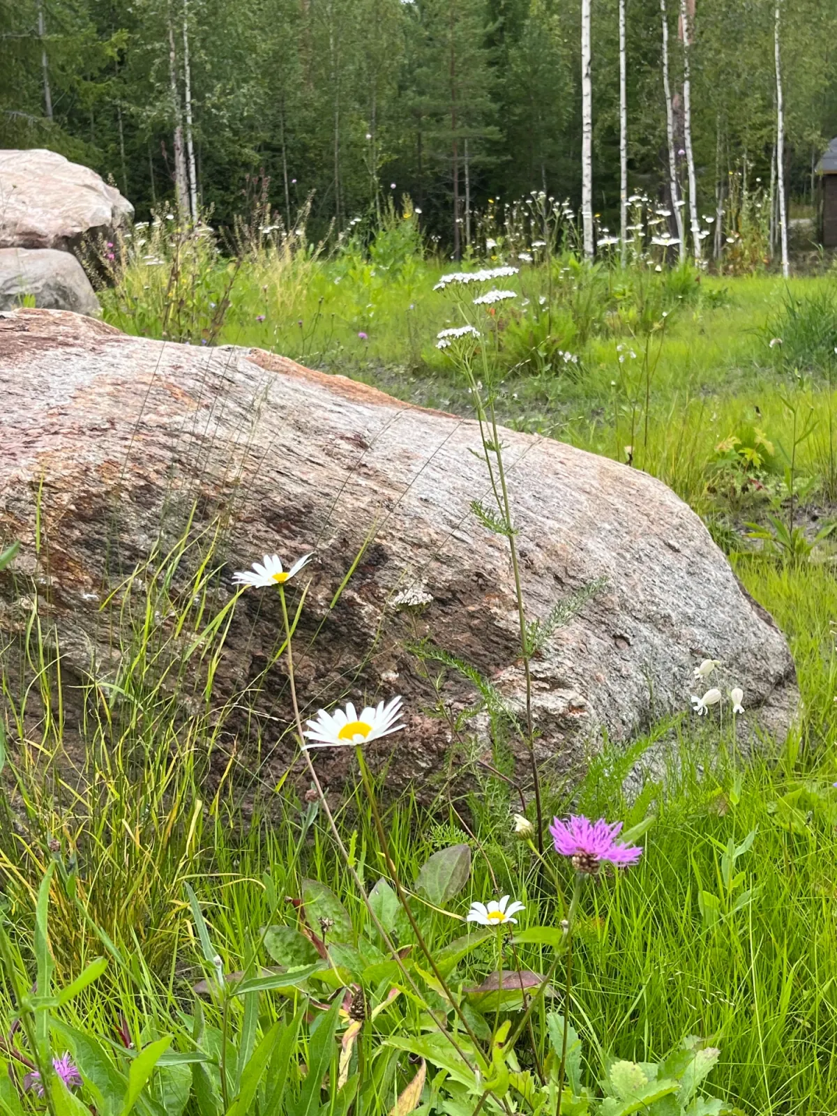 Hälsingland – New England — bild 8