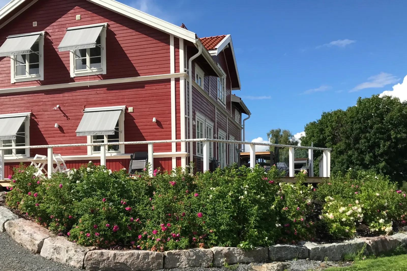Hälsingland – en slänt av rosor