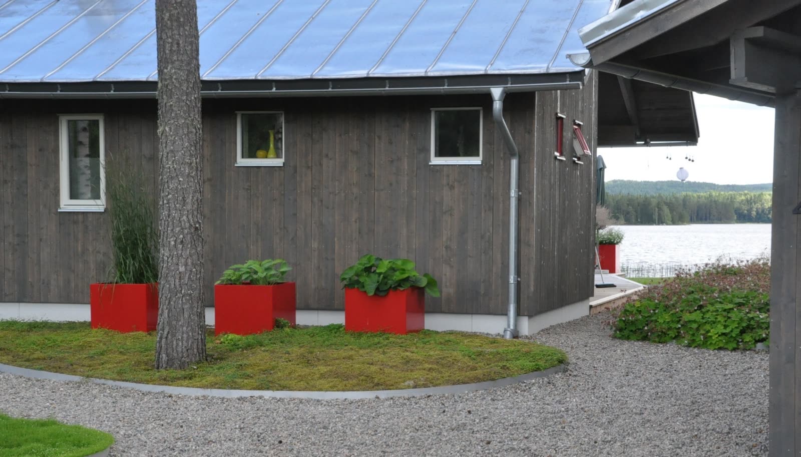 Hälsingland – stilren skogstäppa