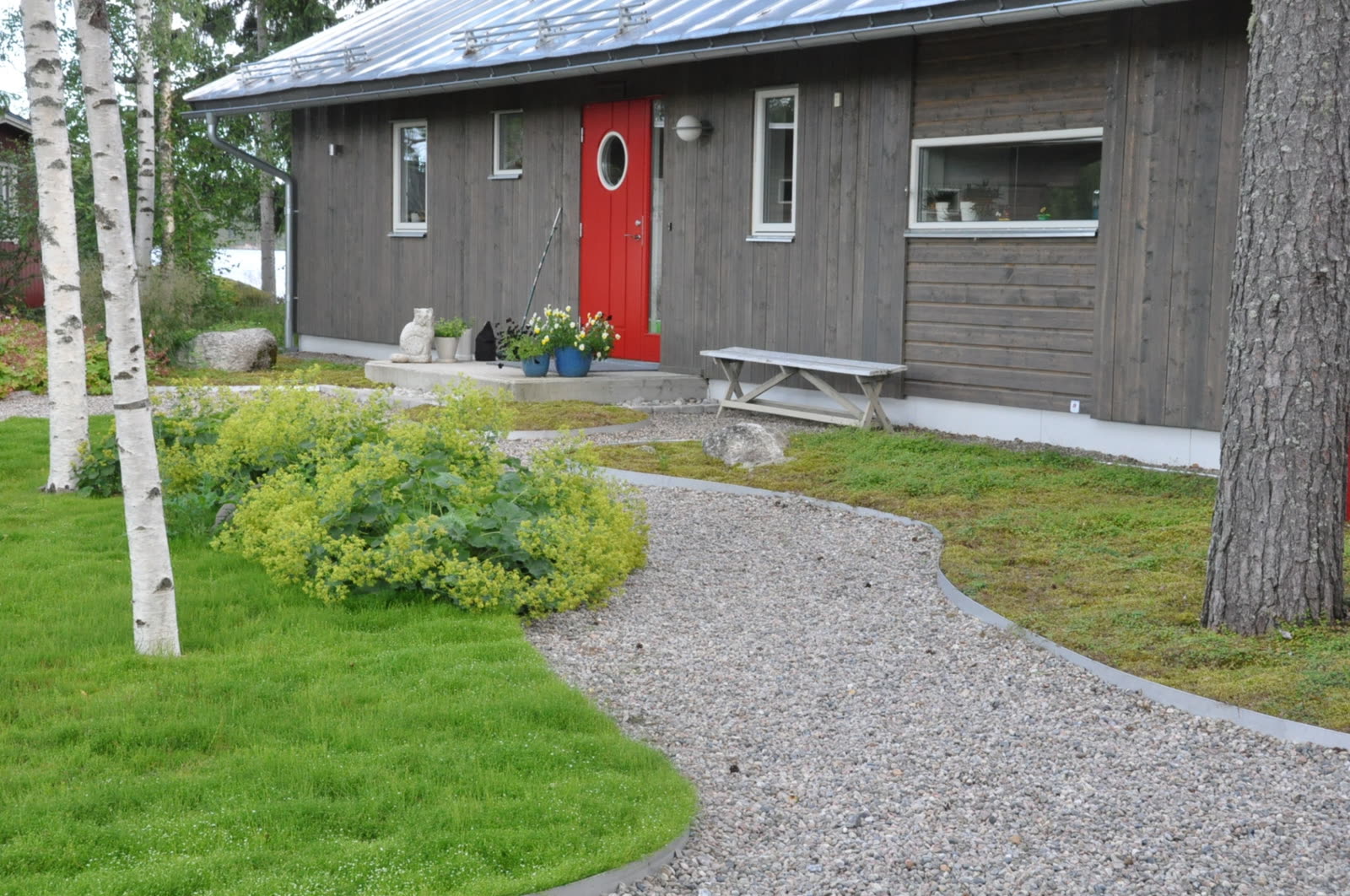 Hälsingland – stilren skogstäppa